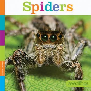 Spiders - Book  of the Seedlings