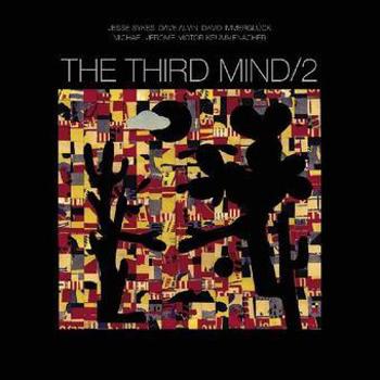 Vinyl The Third Mind 2 Book