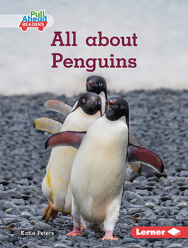 Library Binding All about Penguins Book