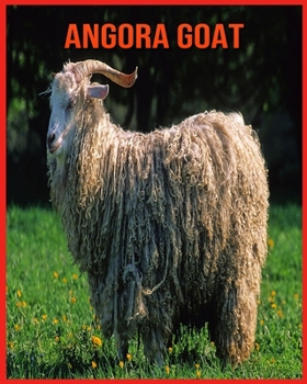 Paperback Angora Goat: Amazing Pictures & Fun Facts on Animals in Nature Book