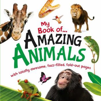 Board book My Book of Amazing Animals, Volume 1 Book