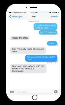 Paperback Conversations With a White Wall Book