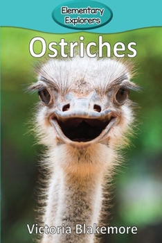 Paperback Ostriches Book