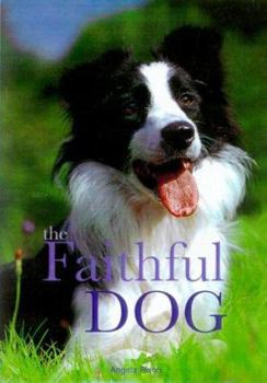 Paperback The Faithful Dog Book