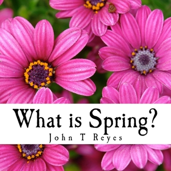 Paperback What is Spring? Book