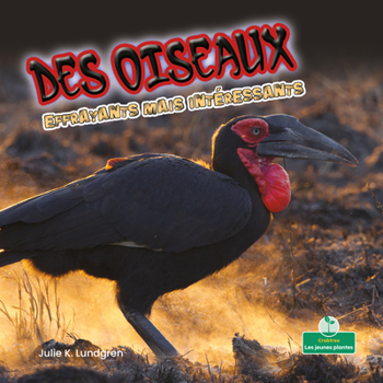 Paperback Des Oiseaux Effrayants Mais Intéressants (Creepy But Cool Birds) [French] Book