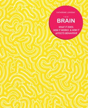 Paperback The Brain: What It Does, How It Works and How It Affects Behaviour Book