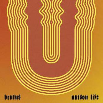 Vinyl Unison Life Book