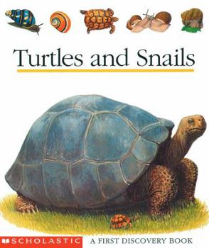 Spiral-bound Turtles and Snails Book