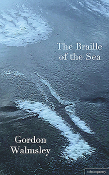 Paperback The Braille of the Sea Book