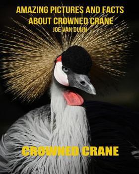 Paperback Crowned Crane: Amazing Pictures and Facts about Crowned Crane Book