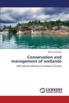 Paperback Conservation and Management of Wetlands Book