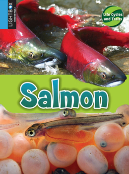 Library Binding Salmon Book