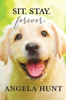 Hardcover Sit. Stay. Forever. Book