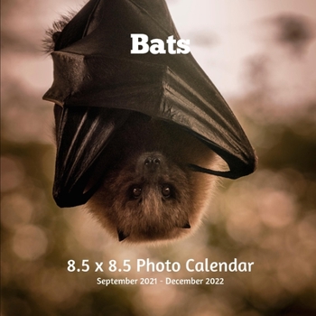 Paperback Bats 8.5 X 8.5 Photo Calendar September 2021 -December 2022: Monthly Calendar with U.S./UK/ Canadian/Christian/Jewish/Muslim Holidays-Animals Nature Book