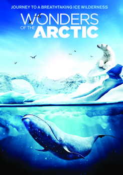 DVD IMAX: Wonders of the Arctic Book