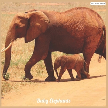 Baby Elephants 2021 Wall Calendar: Official Elephant 2021 Wall Calendar