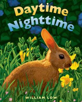 Hardcover Daytime Nighttime Book