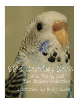 Paperback Bird Coloring Book: Vol 1, Vol 2, and "The Chelsea Collection" Book