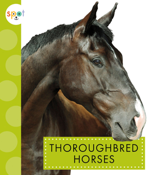 Library Binding Thoroughbred Horses Book