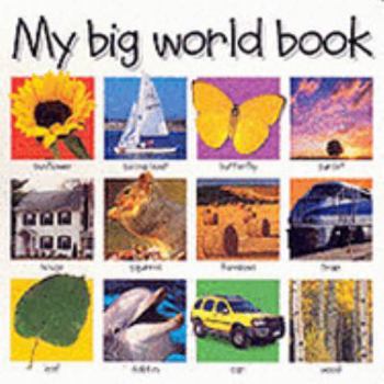My Big World Book