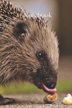 Paperback Notebook: Notebook Hedgehog Fun gift for someone's birthday, perfect present for a friend or a family member. Blank Lined Journa Book