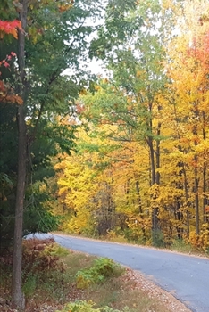 2020 Weekly Planner Pretty Fall Colors Country Road 134 Pages: 2020 Planners Calendars Organizers Datebooks Appointment Books Agendas