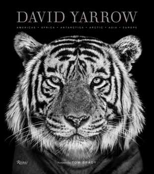 Hardcover David Yarrow Photography: Americas Africa Antarctica Arctic Asia Europe Book