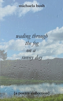 Paperback wading through the fog on a sunny day Book