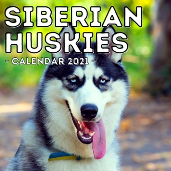 Paperback Siberian Huskies Calendar 2021: 16-Month Calendar, Cute Gift Idea For Siberian Husky Lovers, Women & Men Book
