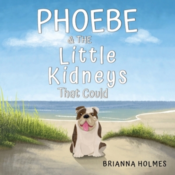 Paperback Phoebe & The Little Kidneys That Could Book