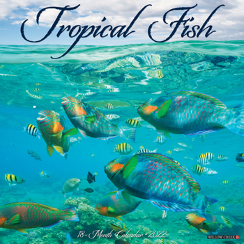 Calendar Tropical Fish 2022 Wall Calendar Book