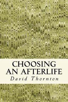 Paperback Choosing an Afterlife: Poetry 2008-2012 Book