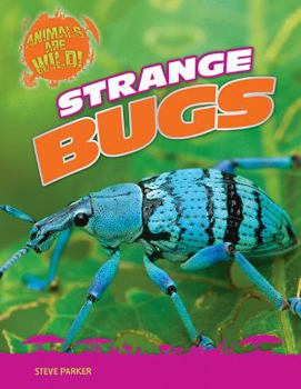 Strange Bugs - Book  of the Animals Are Wild!