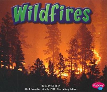 Library Binding Wildfires Book