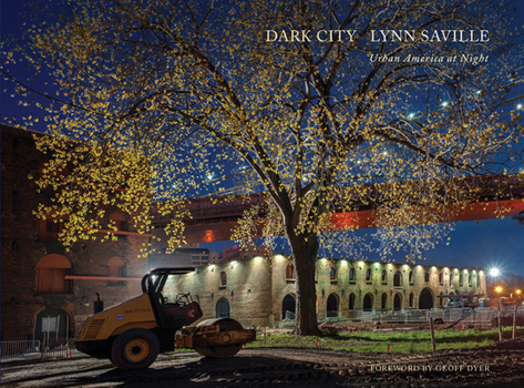 Hardcover Lynn Saville: Dark City Book