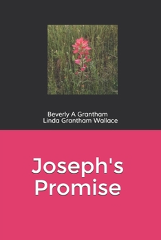 Paperback Joseph's Promise Book