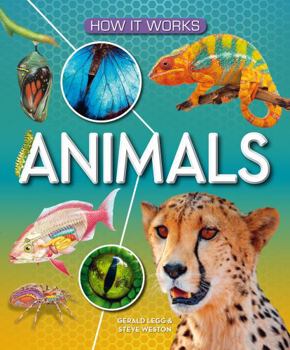 Hardcover How It Works: Animals Book
