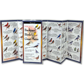 Sibley's Backyard Birds of the Great Plains (Foldingguides(tm))