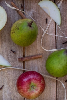 Paperback My Journal: Recipe Journal - 6"x9" - 120 Lined pages - Recipe Recording Notebook - Matte Cover Book