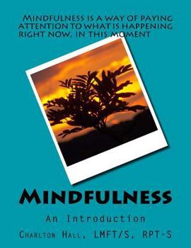 Paperback Mindfulness: An Introduction Book