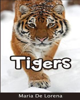 Paperback Tigers: Children Pictures Book & Fun Facts About Tigers Book