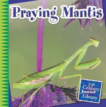 Praying Mantis - Book  of the Creepy Crawly Critters