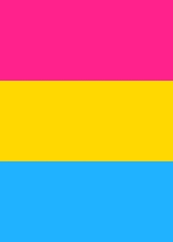 Paperback Pansexual Pride Flag Journal Book
