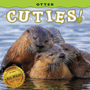 Board book Otter Cuties! Book