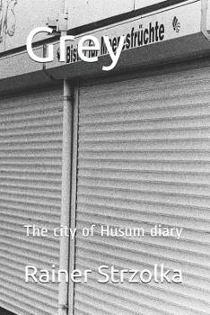 Paperback Grey: The city of Husum diary Book