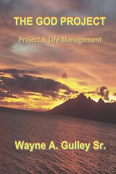 Paperback The God Project Book
