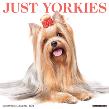 Calendar Just Yorkies 2022 Wall Calendar (Dog Breed) Book