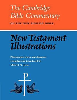 Paperback New Testament Illustrations Book
