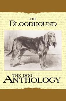Paperback The Bloodhound - A Dog Anthology (A Vintage Dog Books Breed Classic) Book